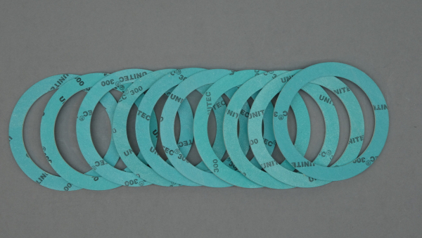 Dichtungssatz 0901448 (10 Dichtringe)