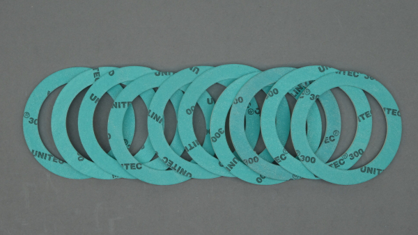 Dichtungssatz 0901447 (10 Dichtringe)