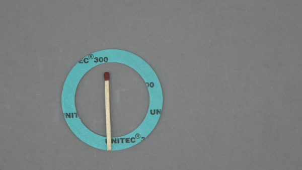 Dichtungssatz 0901447 (10 Dichtringe)
