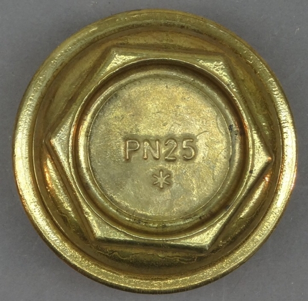 SM06T-1B